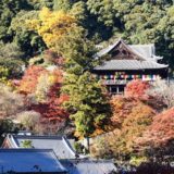 【奈良の紅葉】長谷寺もみじまつりと周辺グルメ食べ歩き